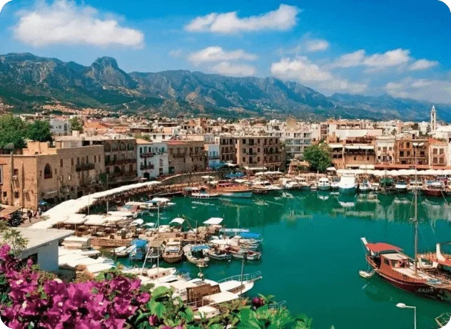 صورة 2