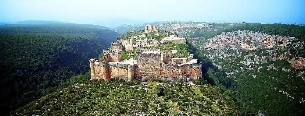 صورة 2