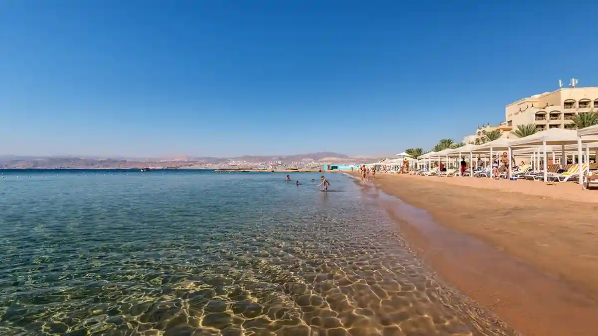 صورة 3